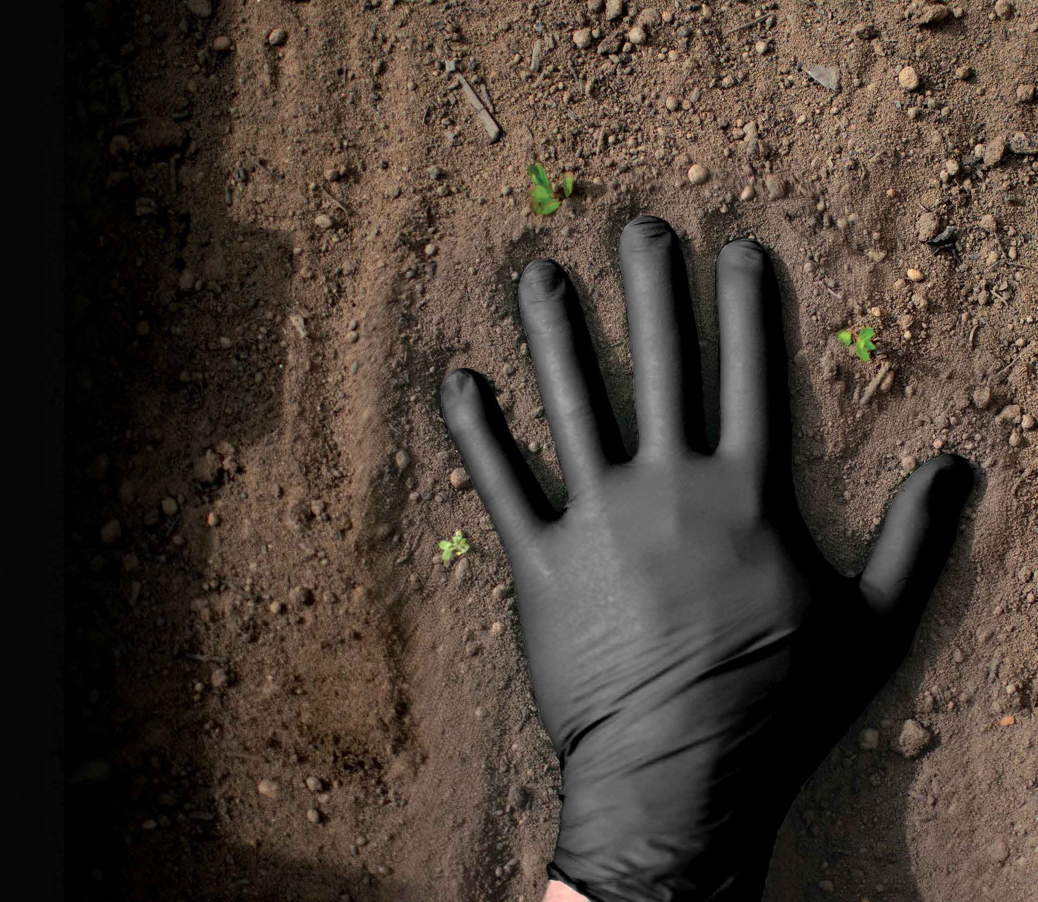 Showa 6112PF Black Biodegradable Powder-Free Latex-Free EBT Nitrile Gloves
